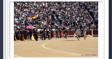 <b>Galería. Así vio Muriel Feiner… triunfar a Curro Vázquez, César Rincón y a Olga Casado en el festival de Las Ventas</b>