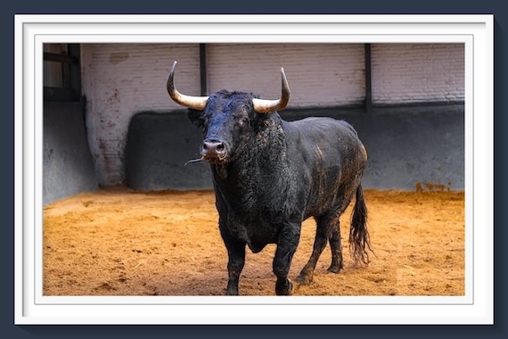 <b>Orden de lidia de los toros de Garcigrande para la 8ª de la Feria de Otoño de Las Ventas (Música, Fotos y Vídeo)</b>