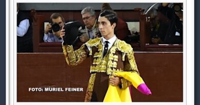 <b>En Madrid… <i>El Mene</i> ovacionado por su oficio y torería</b>