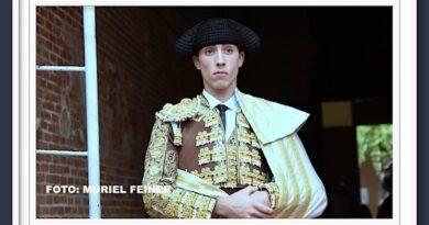 <b>Galería. Así vio Muriel Feiner… destacar a <i>El Mene</i> en la novillada de Las Ventas</b>