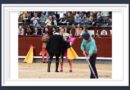 <b>Galería. Así vio Muriel Feiner… cortar una oreja a Román más que merecida en Las Ventas</b>