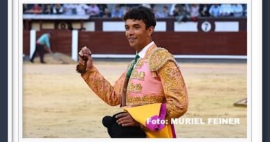 <b>Galería. Así vio Muriel Feiner… la Gran Final de Camino hacia Las Ventas</b>