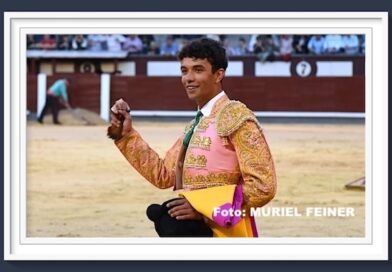 <b>Galería. Así vio Muriel Feiner… la Gran Final de Camino hacia Las Ventas</b>