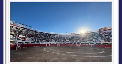 <b>En Ciudad Juárez… Triunfa la tauromaquia</b>