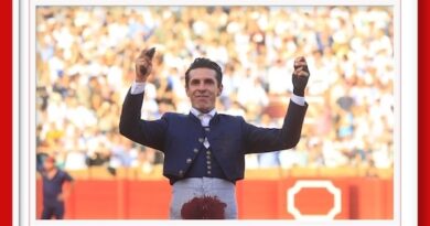 <b>En Sevilla… Talavante destaca en el festival</b>