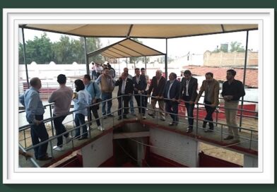 <b>Orden de lidia de los toros de Boquilla del Carmen para El Nuevo Progreso de Guadalajara</b>