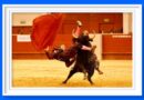 <b>David de Miranda despide la temporada tras el golpe sufrido en Las Rozas</b>