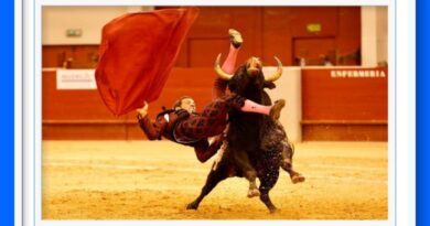 <b>David de Miranda despide la temporada tras el golpe sufrido en Las Rozas</b>