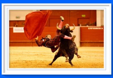 <b>David de Miranda despide la temporada tras el golpe sufrido en Las Rozas</b>