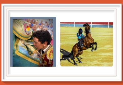 <b>Fallados los Premios del Concurso Internacional de Fotografía Taurina de Calasparra</b>