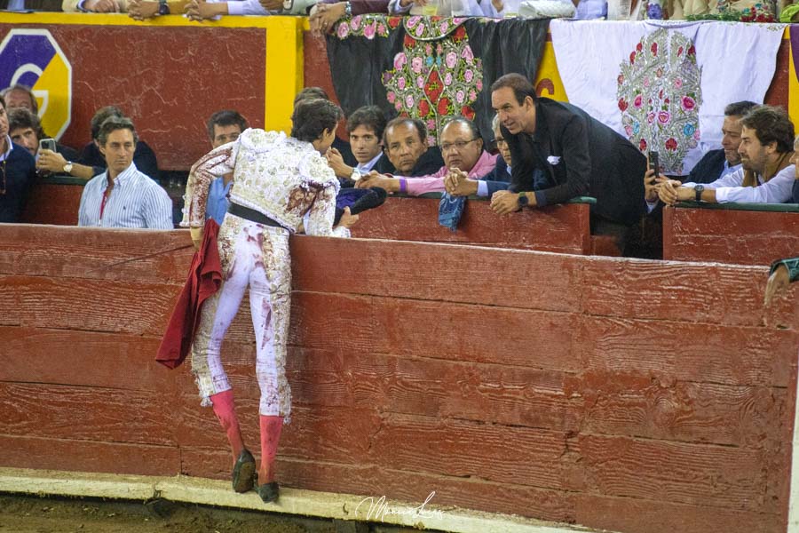 Brindis al chef Mario Sandoval