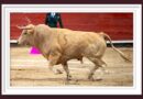 <b>En Acho… <i>Saleroso</i> de Paiján salva la tercera corrida de feria</b>