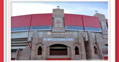 <b>Tentadero público en Valdemorillo</b>