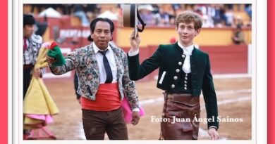 <b>En Tlaxcala… André corta solitaria oreja; destaca forcado Luis Tenorio</b>