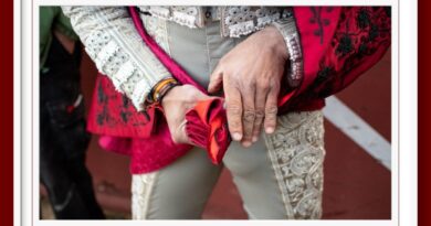 <b>Definidos los candidatos a los premios de la Excelencia de las Cuadrillas de la Liga Nacional de Novilladas 2025</b>