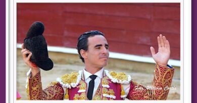 <b>En Cali… Solamente algo de temple de Joaquín Galdós</b>