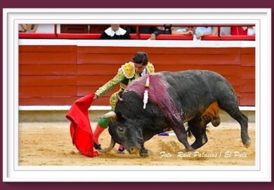 <b>En Cali… Triunfalismo desbordado en el cierre, a hombros Luis David Adame y Colombo</b>