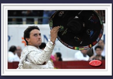 <b>La Galería de David Serrato… el insustancial ganado de <i>Bernaldito</i> el 30 de Noviembre en Guadalajara</b>