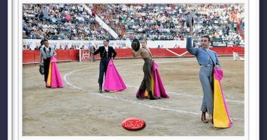 <b>La Galería de David Serrato… del festival en defensa de la Fiesta en Guadalajara</b>