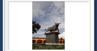 <b>Tore-ando canceló la Corrida de Año Nuevo en la Monumental de Apizaco,  habrá novillada sin picadores</b>