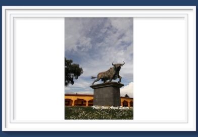 <b>Tore-ando canceló la Corrida de Año Nuevo en la Monumental de Apizaco,  habrá novillada sin picadores</b>