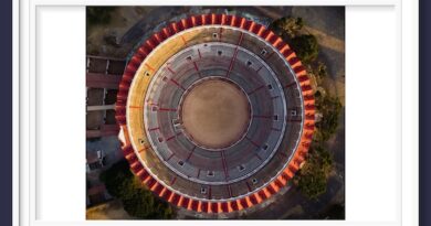 <b>La Temporada taurina 2025 del Nuevo Progreso: Entre el regreso histórico y los retos de la Fiesta</b>