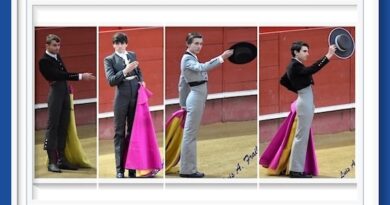 <b>El reportaje de Luis Fraile… Tentadero público en la Plaza de La Candelaria de Valdemorillo</b>