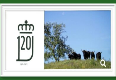 <b>La Real Unión de Criadores de Toros de Lidia cierra un año cargado de historia</b>