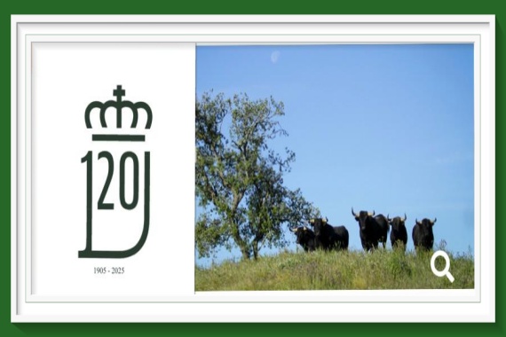 <b>La Real Unión de Criadores de Toros de Lidia cierra un año cargado de historia</b>