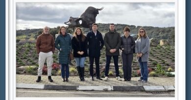 <b>Valdemorillo rinde homenaje al toro y a su simbolismo en la espectacular escultura de Pedro Labajos</b>