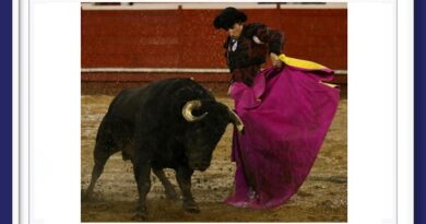 <b>En Manizales… Sin toro no hay triunfo</b>