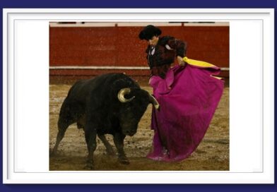 <b>En Manizales… Sin toro no hay triunfo</b>