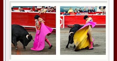 <b>En Manizales… <i>Figurines y señoritos</i></b>