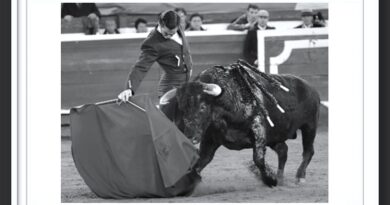 <b>En Manizales… ¡Que vergüenza señores!</b>