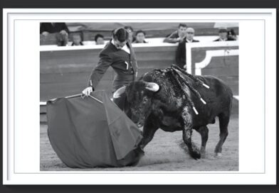 <b>En Manizales… ¡Que vergüenza señores!</b>