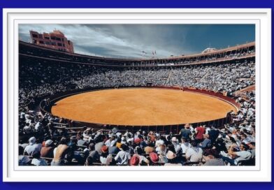 <b>El abono de la Feria Taurina de las Fallas de Valencia creció un 11%</b>