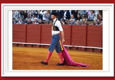 <b>De la cornada al ruedo: Un estudio pionero analiza el cuerpo de Manuel Escribano</b>