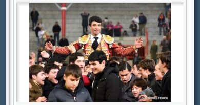 <b>El reportaje de Muriel Feiner… Samuel Castrejón salió por la puerta grande de Valdemorillo</b>